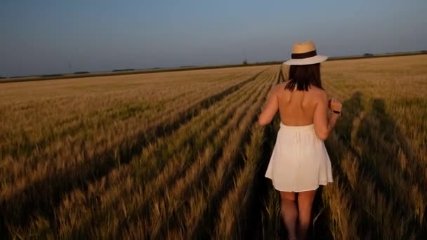 Mutlu özgür genç kadın dans ediyor ve tarlada ağır çekimde dönüyor, elleriyle buğday kulaklarına dokunuyor. Günbatımı arkaplanındaki buğday alanı — Stok video