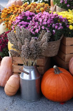 Ripe large pumpkin near flowers in pots. Flowers in pots and a beautiful pumpkin. Seasonal decoration concept. Thanksgiving holiday. The porch of the house is decorated with an autumn composition