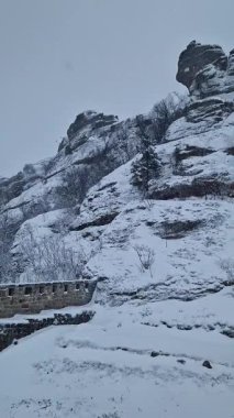 Bulgaristan 'daki antik bir kale olan Belogradchik Kalesi, Balkan Dağlarının kuzey yamacında yer alıyor. Kalenin kış manzarası ve karla kaplı kayalar, karlı hava. Kış