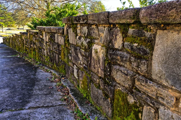 Bergvägg med mossa — Stockfoto