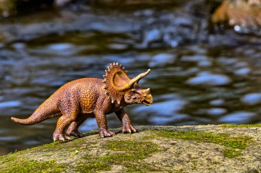 Su içinde belgili tanımlık geçmiş ile yürüme Brown Triceratops dinozor