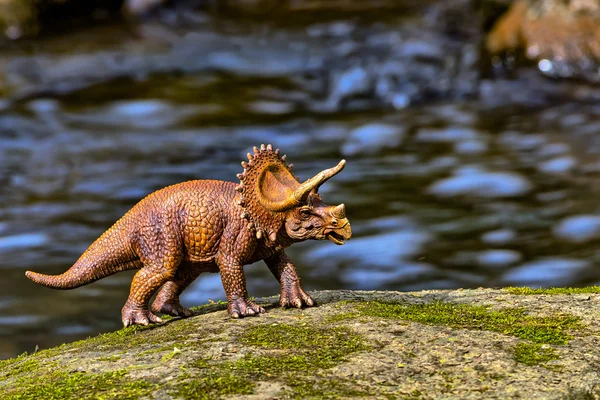 Su içinde belgili tanımlık geçmiş ile yürüme Brown Triceratops dinozor