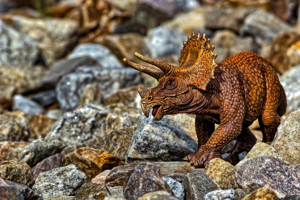 Kayaların arasında yürüyüş Brown Triceratops dinozor