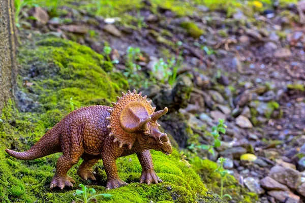 Eski küçük çalı Moss'la üzerinde yürüyen triceratops