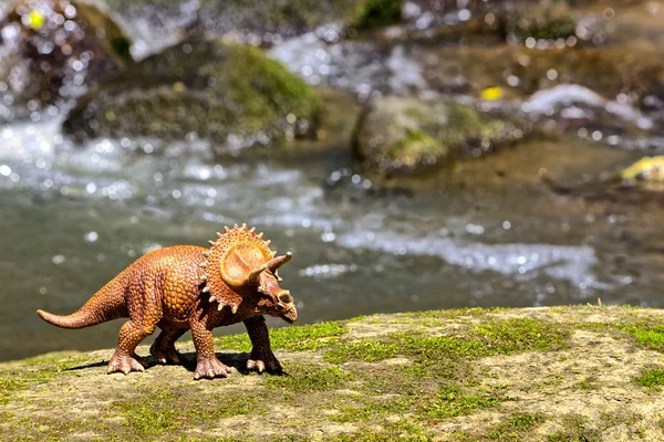 Triceratops gå på gamla rock med vatten i bakgrunden — Stockfoto
