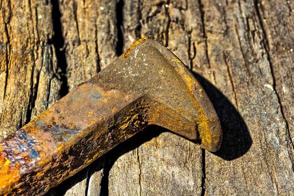 Yerde yatan tek paslı demiryolu çivileri