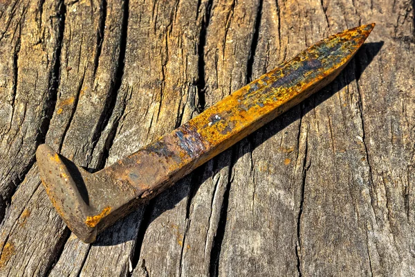 Single rusty railroad spikes laying on ground — Stock Photo, Image