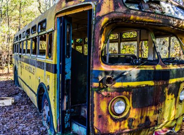 Rusty, eski, araba ormanda junked