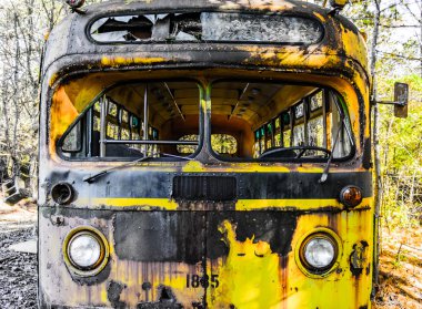 Rusty, eski, araba ormanda junked