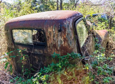 Rusty, eski, araba ormanda junked