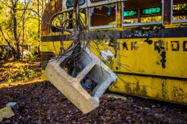 Rusty, eski, araba ormanda junked