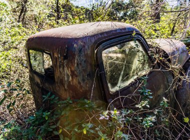 Rusty, eski, araba ormanda junked