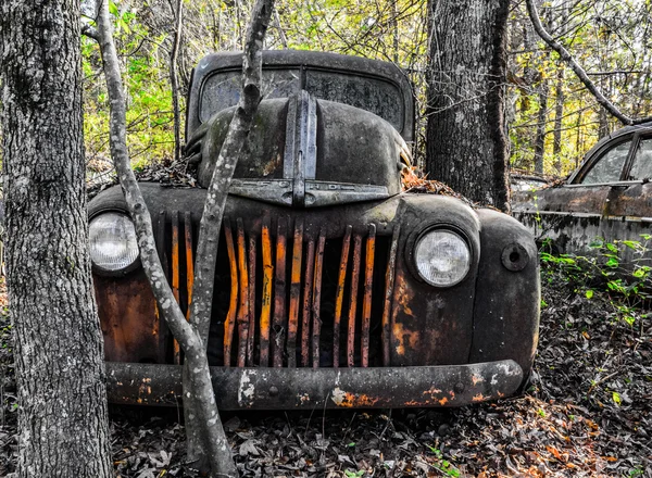 Rusty, eski, araba ormanda junked