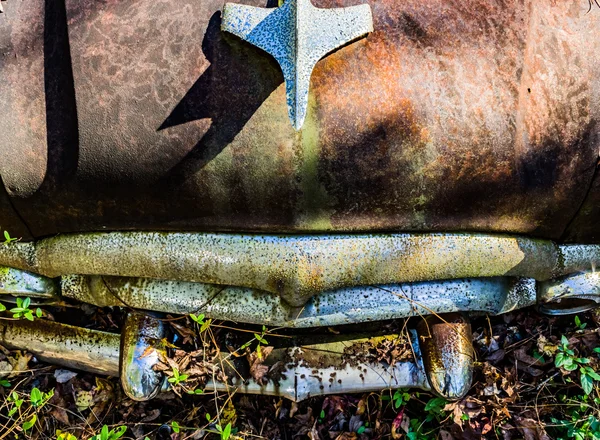 Rusty, eski, araba ormanda junked