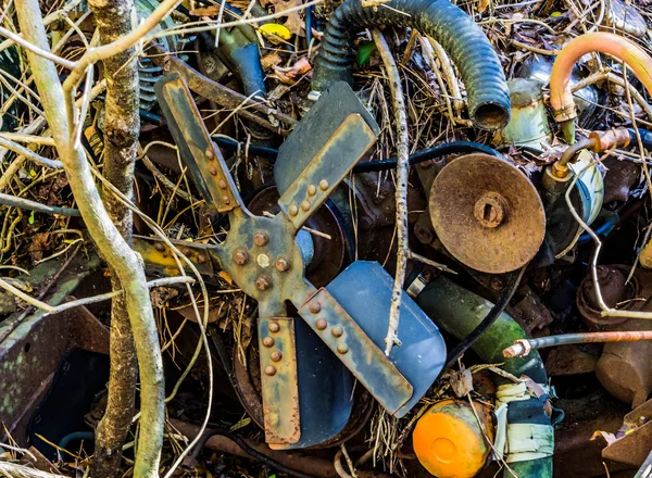 Rusty, eski, araba moter ormanda junked