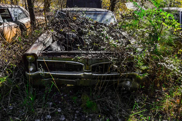 Rusty, viejo, coche chatarra en el bosque — Foto de Stock