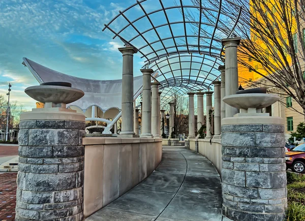 Park ağaç dikme Asheville, Kuzey Carolina, ABD