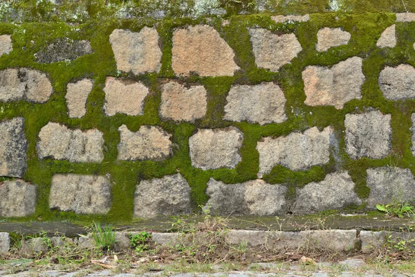 Rock and moss parede fundo — Fotografia de Stock
