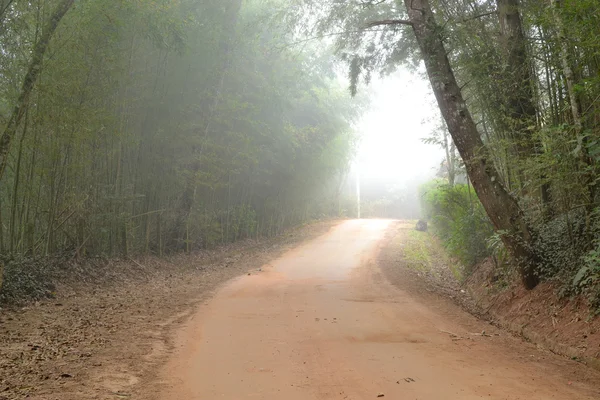 Camino de tierra brumoso — Foto de Stock