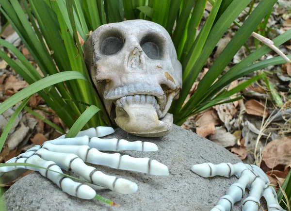 Skeleton in garden — Stock Photo, Image