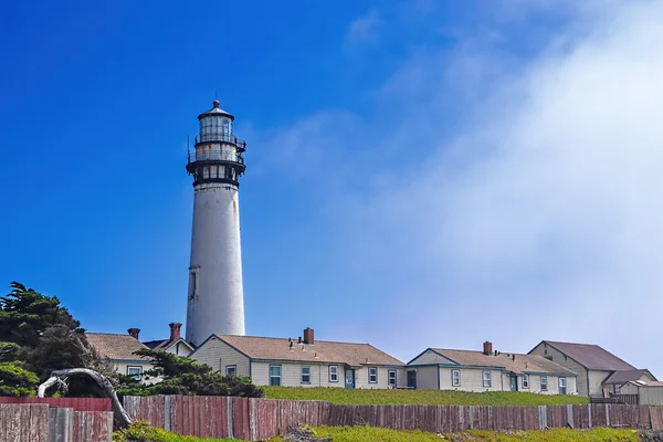 Güvercin bakış deniz feneri Kuzey