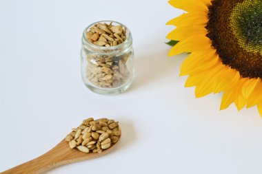 ayçiçeği tohumu beyaz