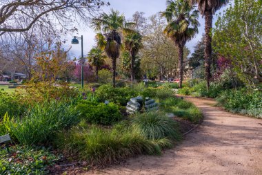 Davis, Kaliforniya, ABD. 21 Mart 2020. Baharda Davis Central Park Bahçeleri. 1990 'ların başında Davis Central Park' ta kurulan bahçeler, belediyeyle ortaklık içinde toplum gönüllüleri tarafından korunuyor..