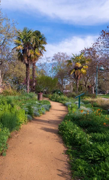 Davis California Usa March 2020 Davis Central Park Gardens Spring — Stock Photo, Image