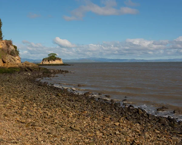 Rat Rock Little Island San Pablo Bay China Camp San — Φωτογραφία Αρχείου