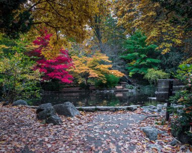 Ashland, Oregon, ABD 'deki Lithia Park' taki boş bank, sonbaharda yeşil, kırmızı ve sarı yapraklar, gölette yansıyan kentsel sonbahar kompozisyonu