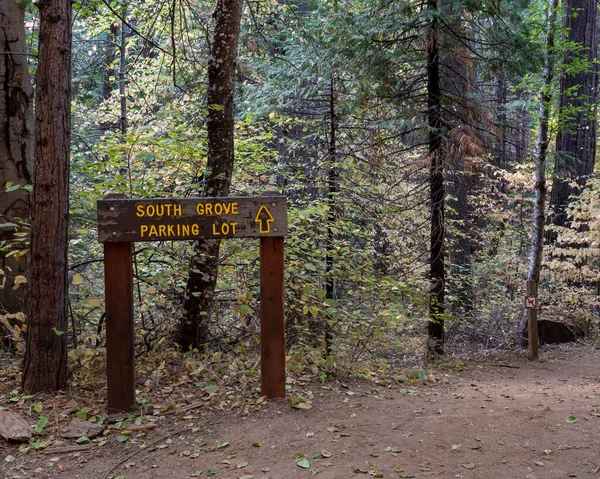 Herfst Kleuren South Grove Trail Van Calaveras Big Trees State — Stockfoto