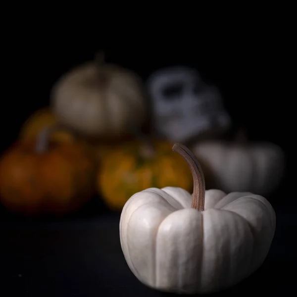 Absztrakt Csendélet Megjelenítő Halloween Kompozíció Sütőtök Squash Koponya Ellen Fekete — Stock Fotó