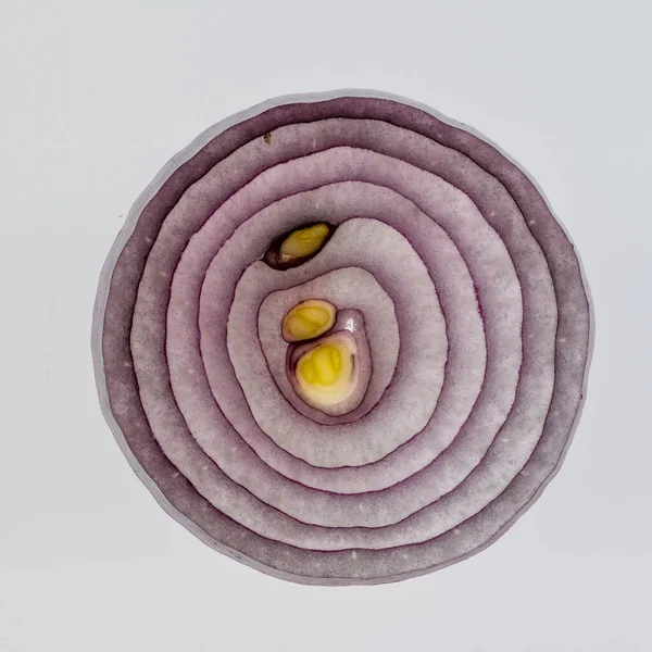 Секция Фиолетового Лука Белом Фоне Изолированный — стоковое фото