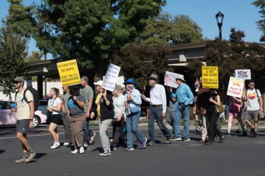Davis, CA, 18 Ekim 2025. Donald Trump 'a karşı düzenlenen protesto sırasında göstericiler bir Amerikan bayrağı ve Kral Yok ve ICE işareti taşıyorlar