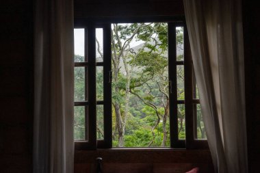 Ağaçlar, tropik bölgelerdeki bir pencerenin dışındaki manzarayı doldurur, huzur hissi verir ve bırakır.