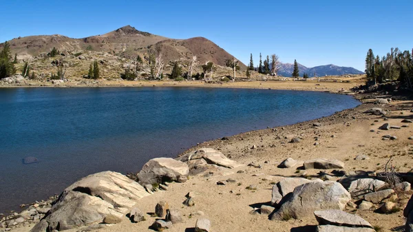 Lago delle rane della Sierra Nevada — Foto Stock