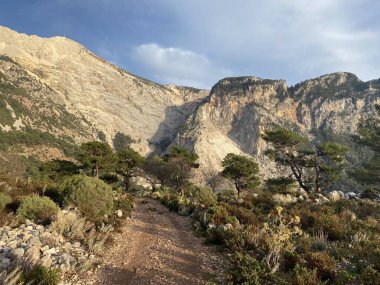 Oludeniz 'deki Mavi Göl' den yükselen koku. Lycian tarzı. Türkiye