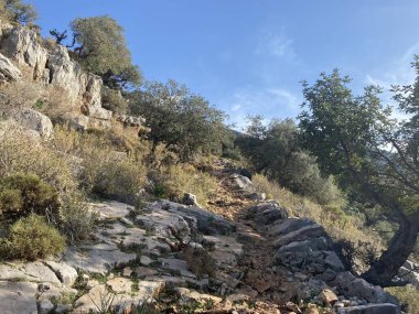 Oludeniz 'deki Mavi Göl' den yükselen koku. Lycian tarzı. Türkiye