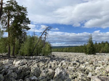 Stone River (Taganay Milli Parkı. Zlatoust şehri. Chelyabinsk bölgesi. Güney Ural. Rusya).