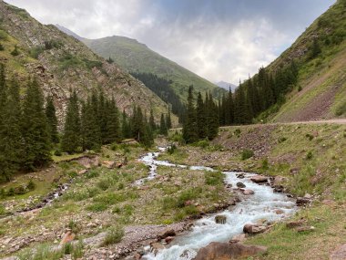 Yamacın kuzey tarafındaki Kegety Geçidi 'nden iniyoruz. Kegety Nehri Vadisi. Tien Shan Dağları. Chui bölgesi. Kırgızistan.