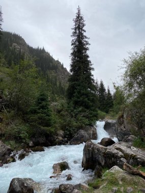 Yamacın kuzey tarafındaki Kegety Geçidi 'nden iniyoruz. Kegety Nehri. Tien Shan Dağları. Chui bölgesi. Kırgızistan.