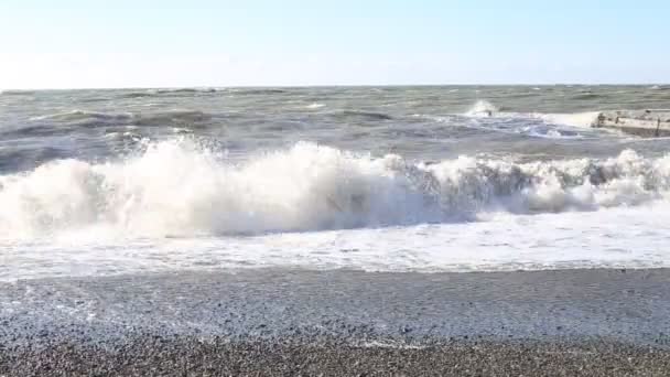 Ufuk için Deniz Manzaralı — Stok video