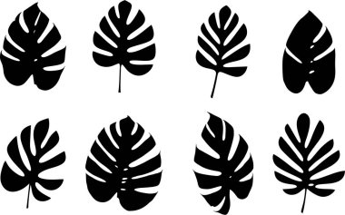 Yeşil Tropikal, sonbahar ve Monstera yaprakları beyaz arka planda, çeşitli şekiller ve egzotik yaprak dokuları sergiliyor. Canavar tropikal yapraklar, minimalist tarzda. Yaz tasarımı, çevre dostu.
