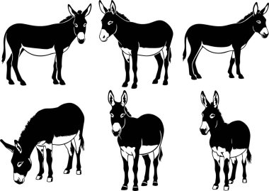 Beyaz arka planda siyah eşek siluetleri, tarım temaları, eğitim, vahşi yaşam grafikleri, kırsal markalaşma, hayvancılık projeleri, çiftçilik görselleri için uygun çiftlik hayvanları çizimleri sergileniyor.
