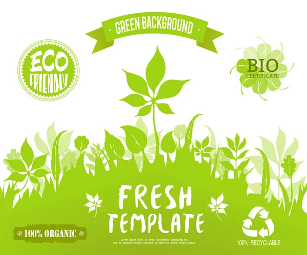 100 % bio, respectueux de l'environnement, certificat bio, étiquettes recyclables.Fond silhouette forêt verte. Bannière vectorielle, brochure ou modèle de page Web. Fond vert et frais — Image vectorielle