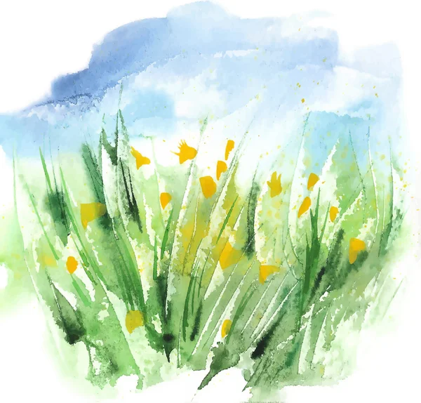 Aquarela orgânica Eco amigável verde grama e amarelo flores campo com céu azul. Contexto do vetor —  Vetores de Stock