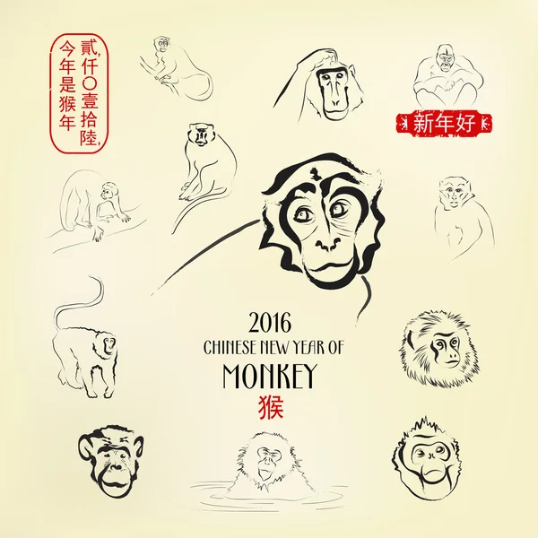 2016 chinois Zodiac Ink Line Art dans le style oriental. Traduction du sceau chinois du côté droit : Bonne année. Interprétation du timbre du côté gauche : 2016 L'Année du Singe. Hiéroglyphe ci-dessous signifie Singe — Image vectorielle