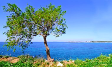 Attica Yunanistan Sounion peyzaj