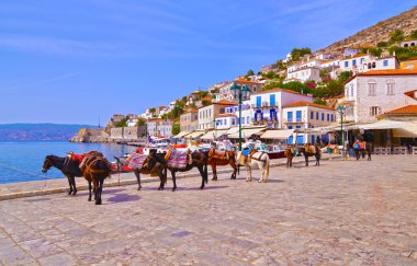 eşekler Hydra Adası Yunanistan