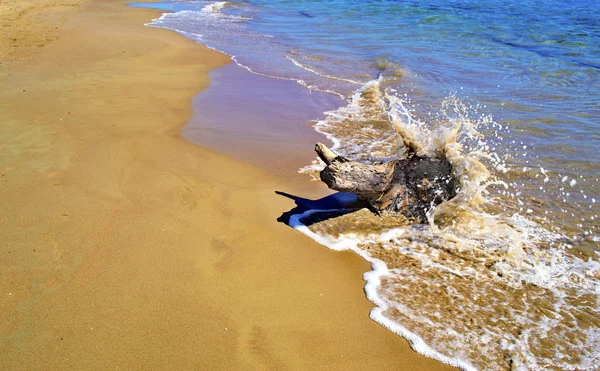 Waves hitting on the stump — Stock Photo, Image